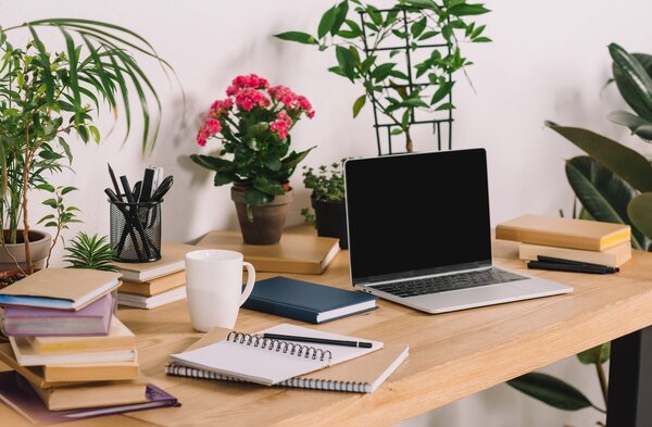 Calm office desk with a plant, notebook, and computer